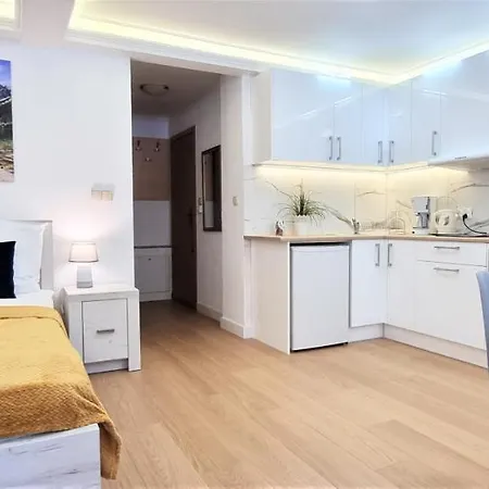 Vip Tetmajera Centrum 아파트 자코파네