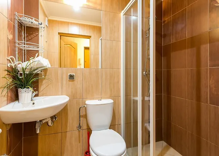 Vip Tetmajera Centrum זקופאנה